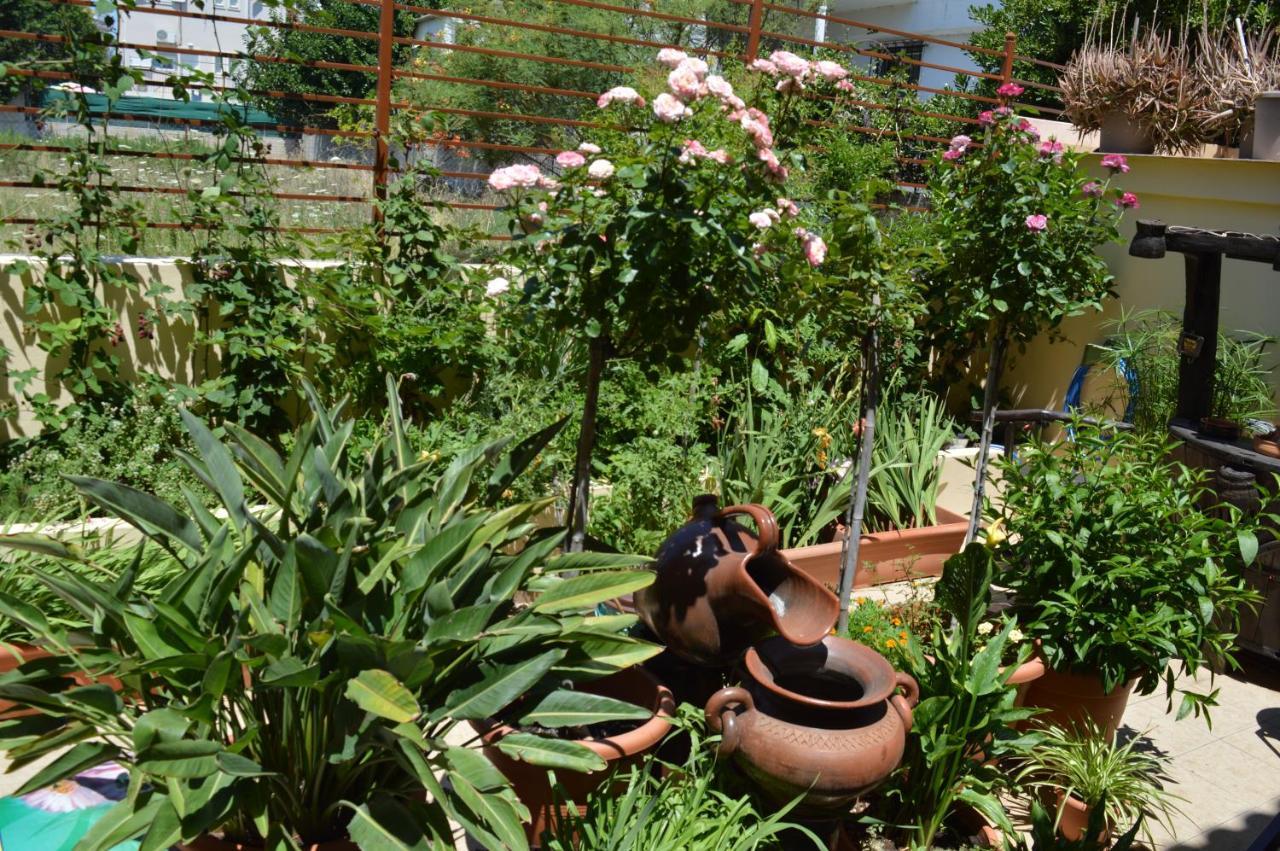 Agios Spyridon  Villa Avatos - Near To The Port Of Rafina And The Airport Of Athens מראה חיצוני תמונה